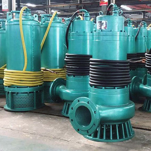 Bqs-Discharge-Submersible-Electric-Pump3.jpg